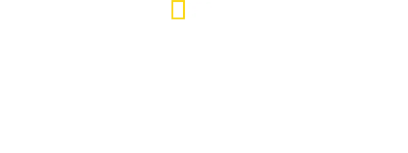 מבצע מרפאים בקוטב