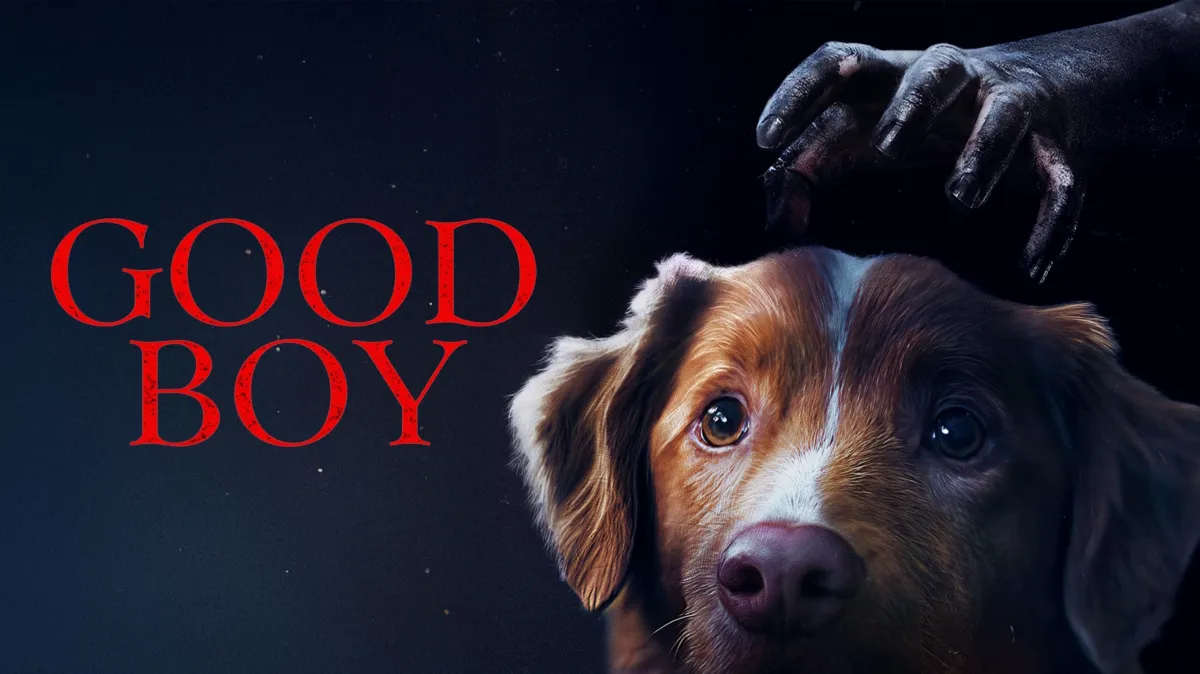 Good Boy | Watch on Disney+