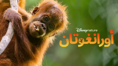 thumbnail - أورانغوتان