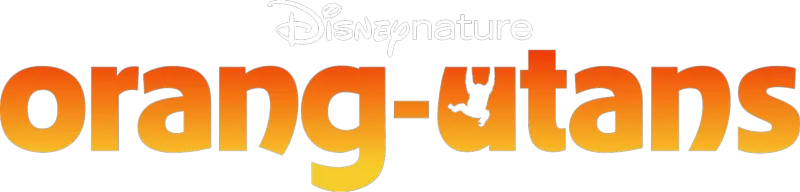 Orang-Utans