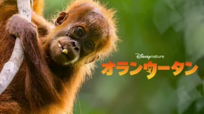 thumbnail - オランウータン