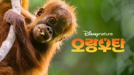 thumbnail - 오랑우탄