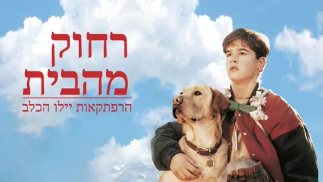 thumbnail - רחוק מהבית: הרפתקאות יילו הכלב