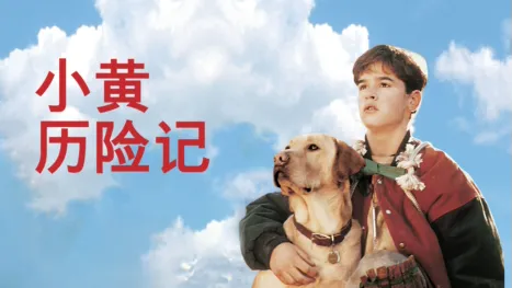 thumbnail - 小黄历险记