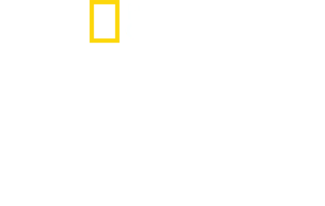 המהפכה המגדרית