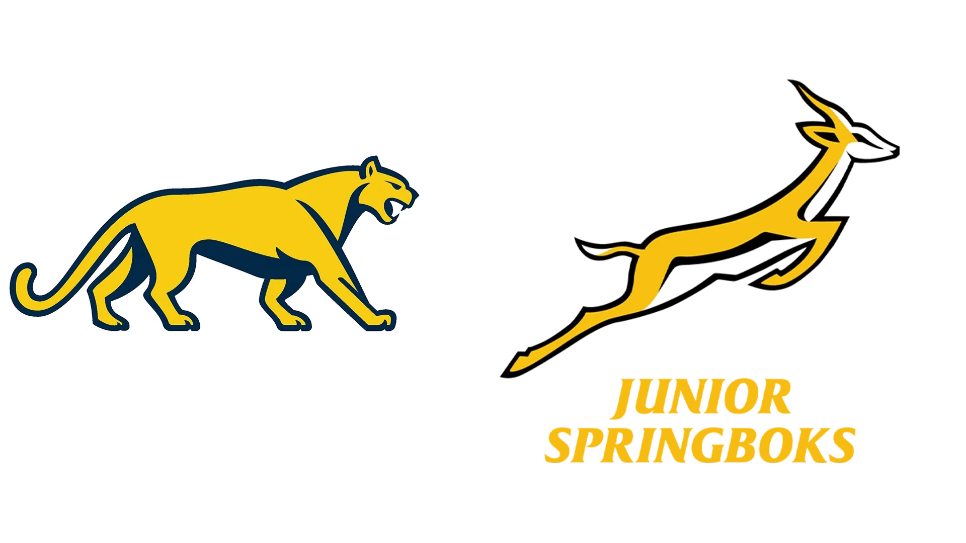 Argentina vs. Sudáfrica (Ronda #1)