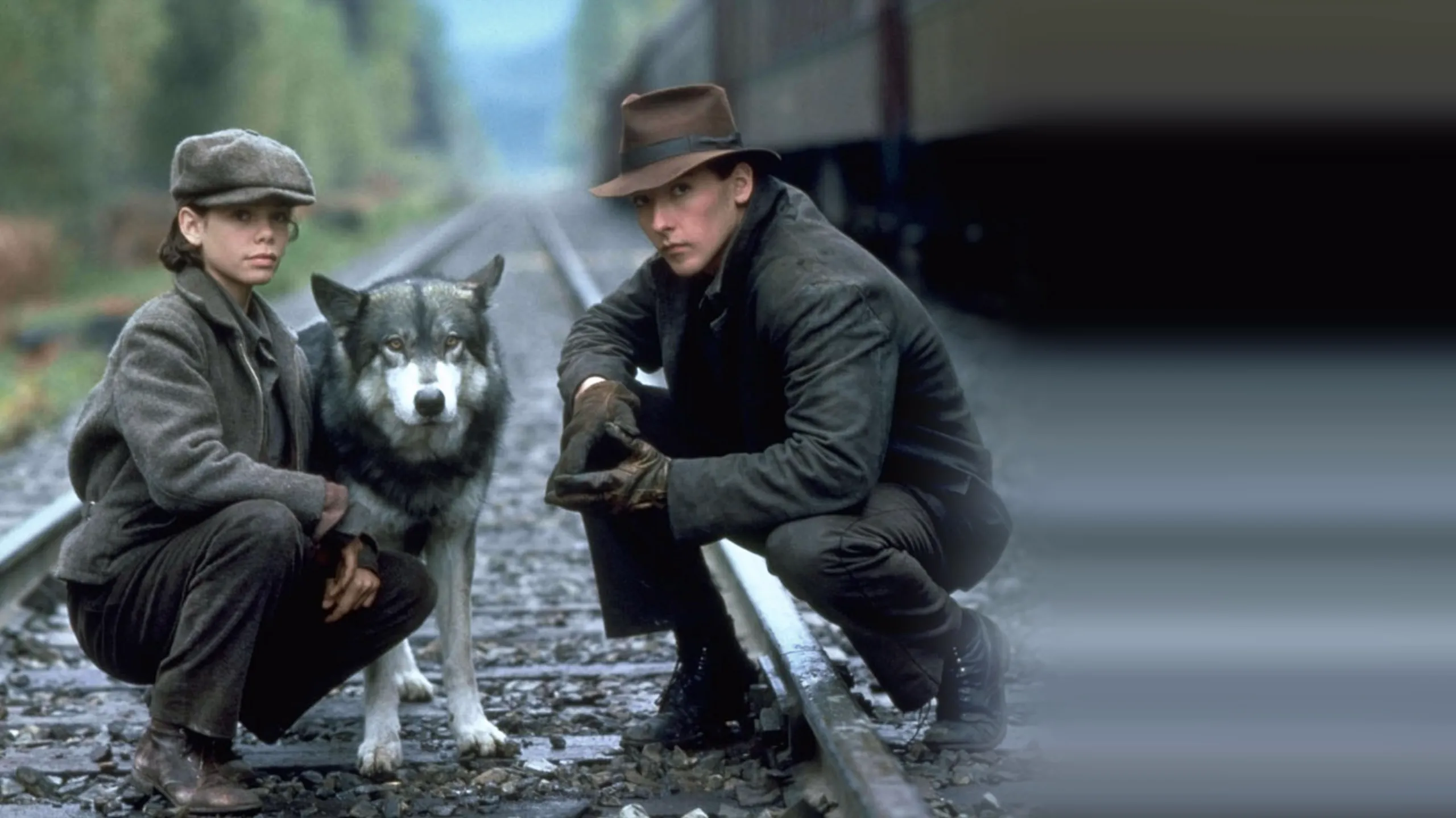 The Journey of Natty Gann