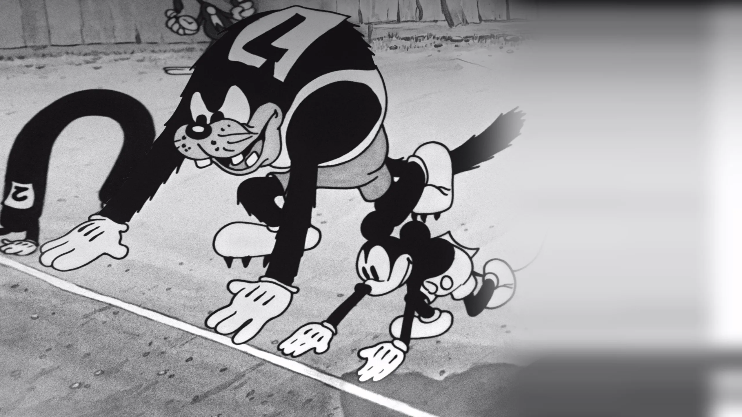 Barnyard Olympics