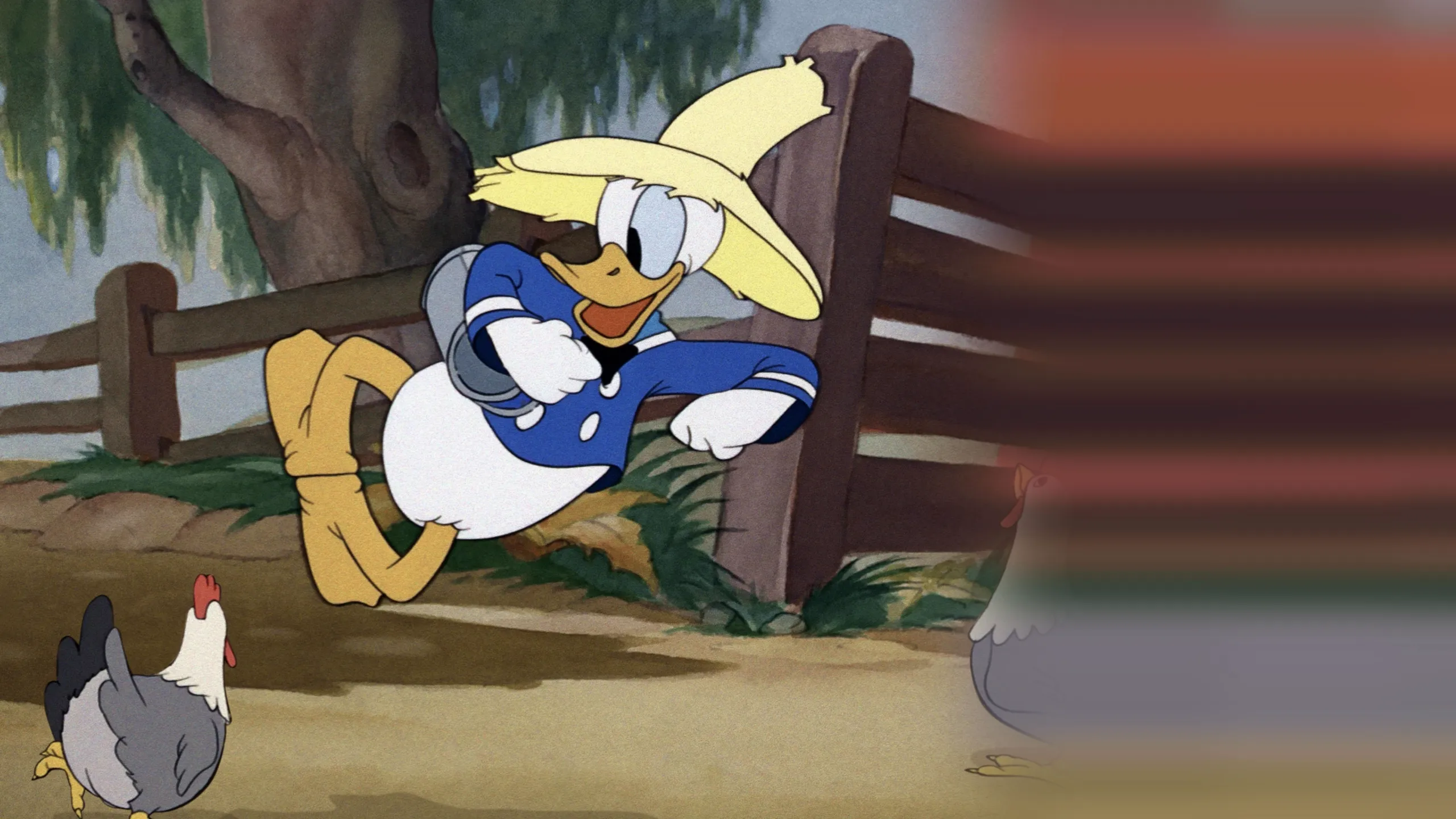 Old MacDonald Duck