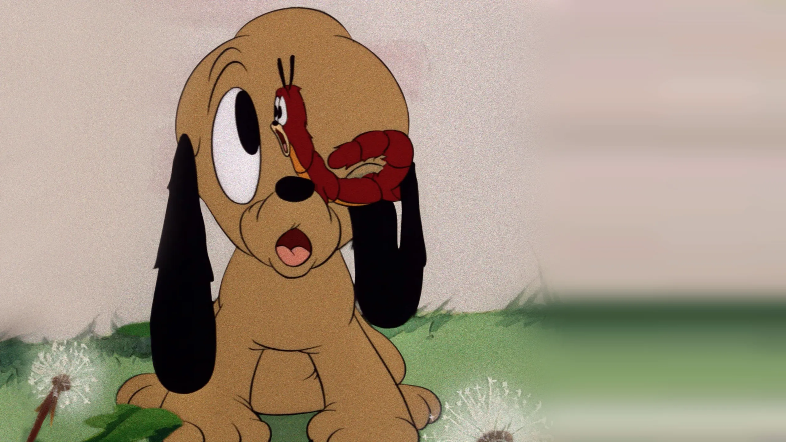 Pluto, Junior
