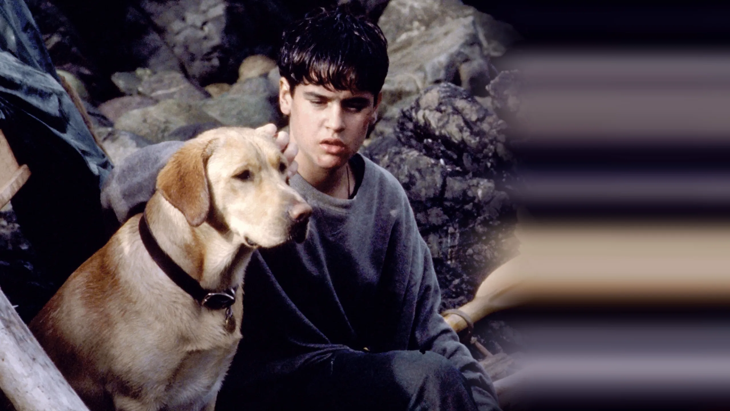 Far from Home: The Adventures of Yellow Dog