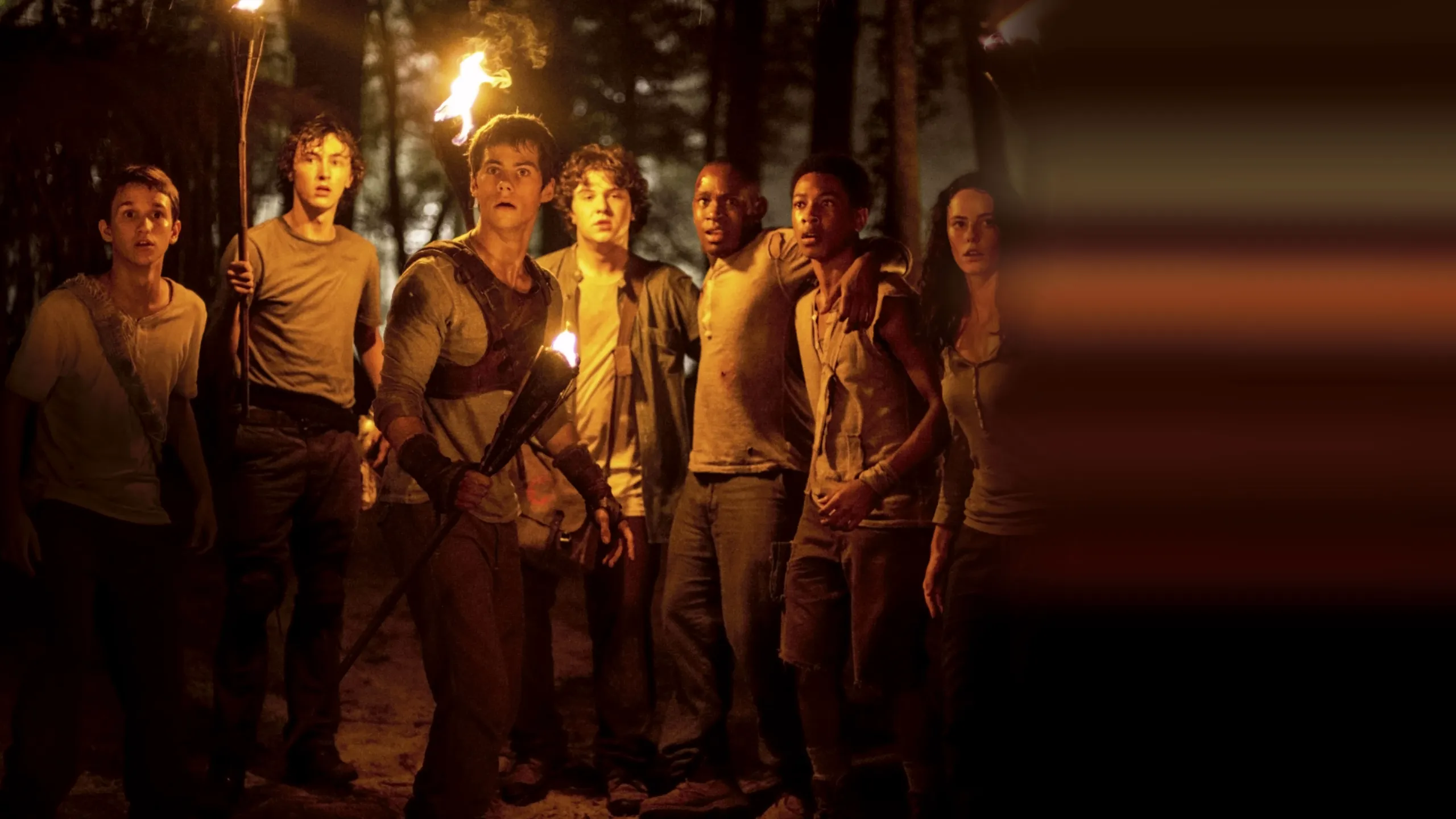 The Maze Runner