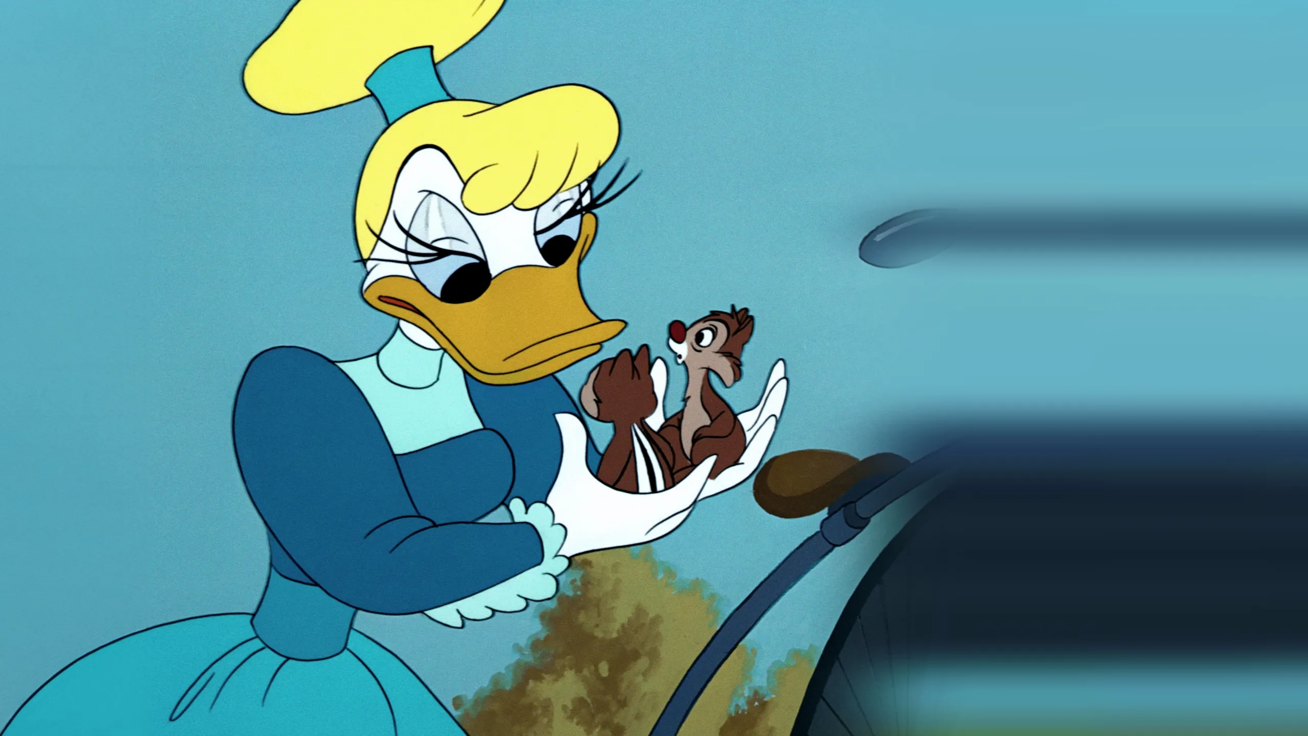 Crazy Over Daisy