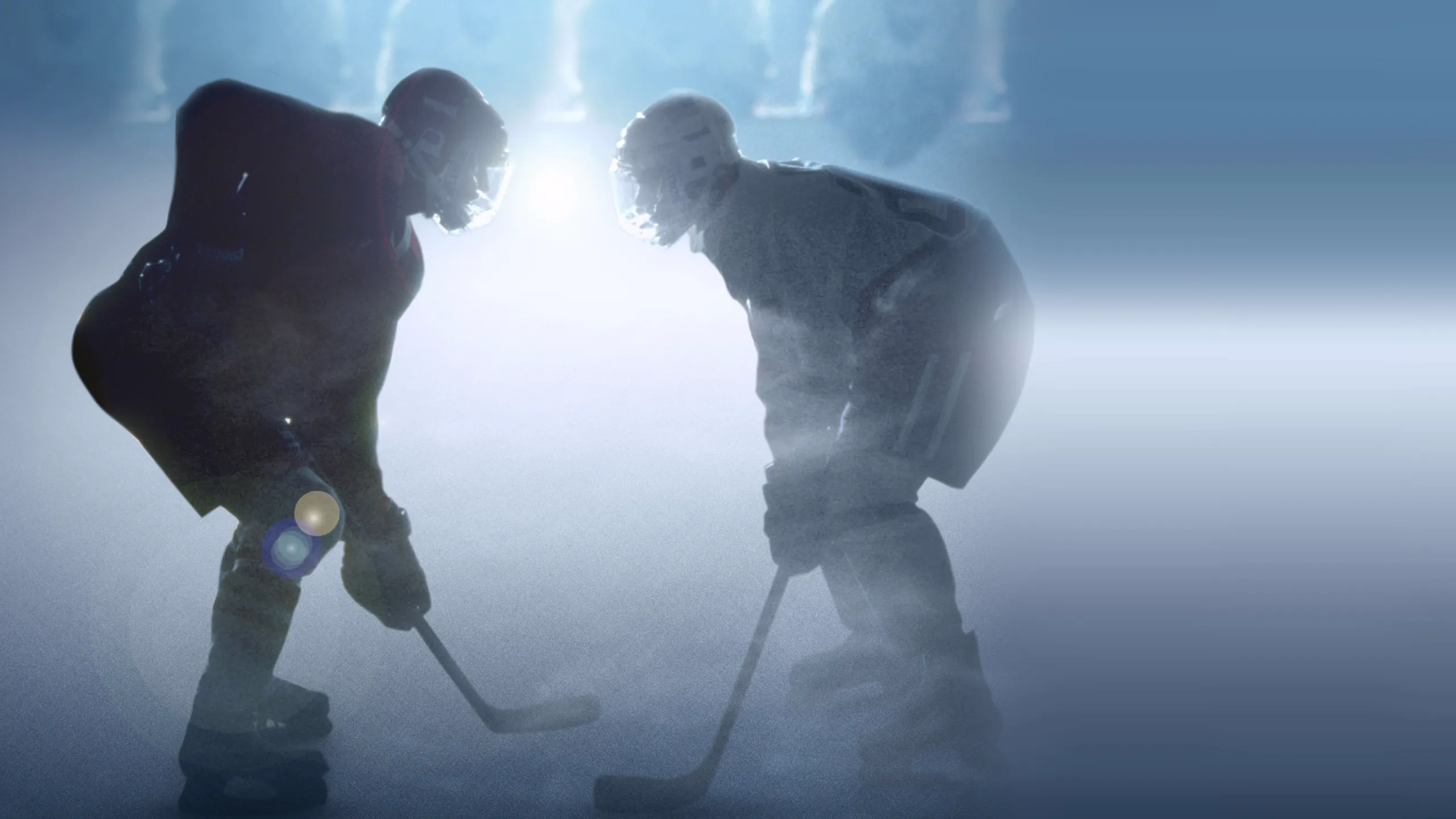 D3: The Mighty Ducks
