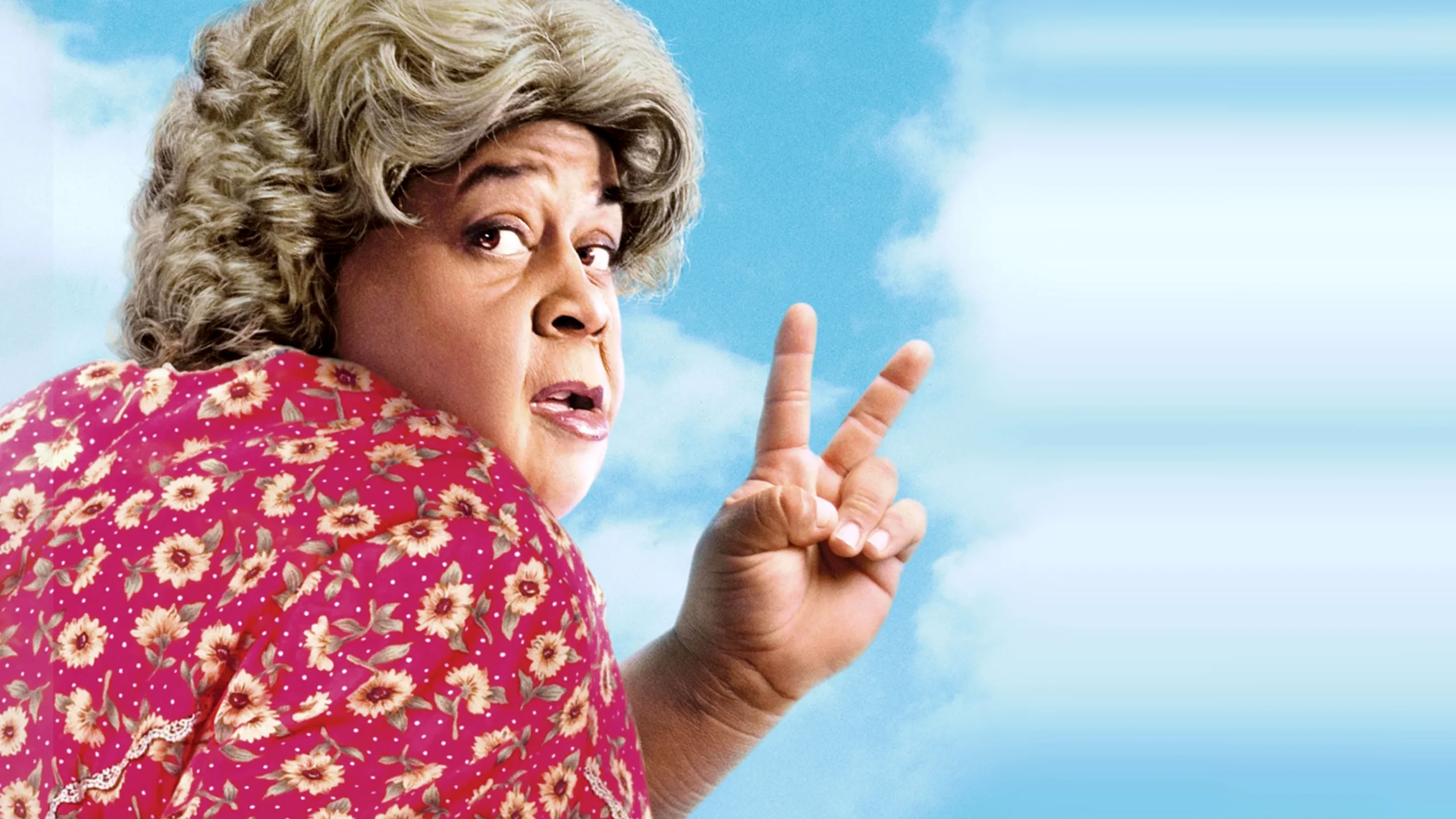 Big Momma's House 2