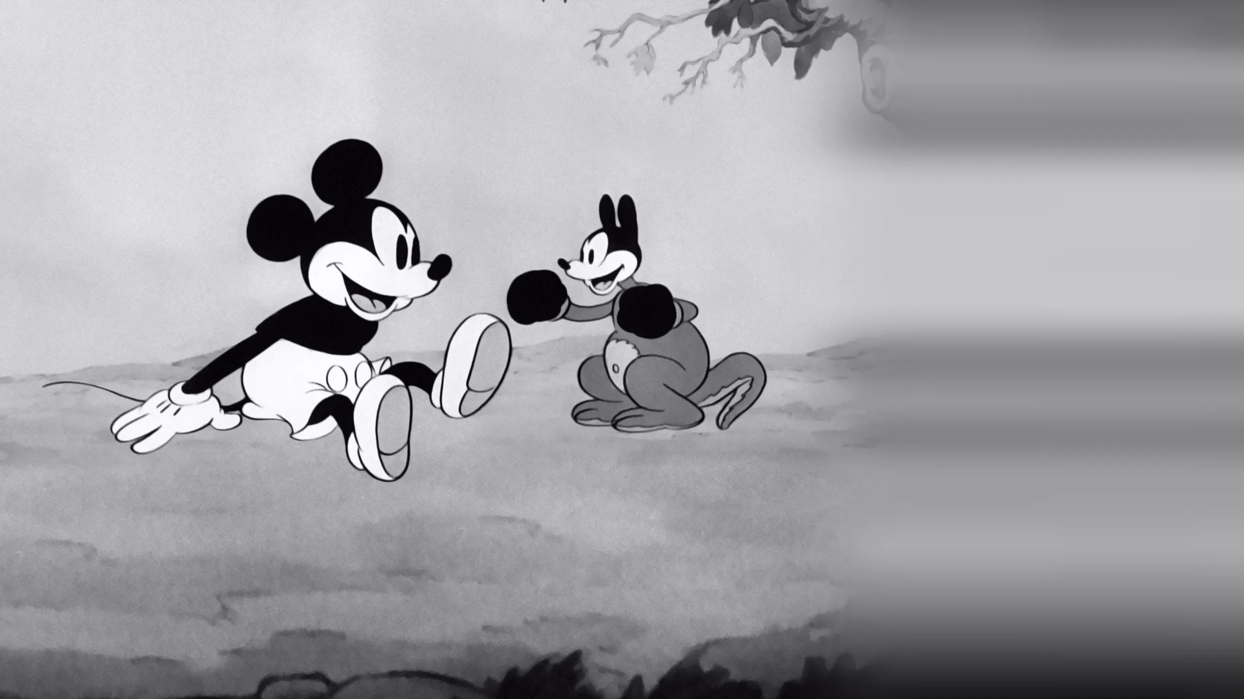 Mickey's Kangaroo
