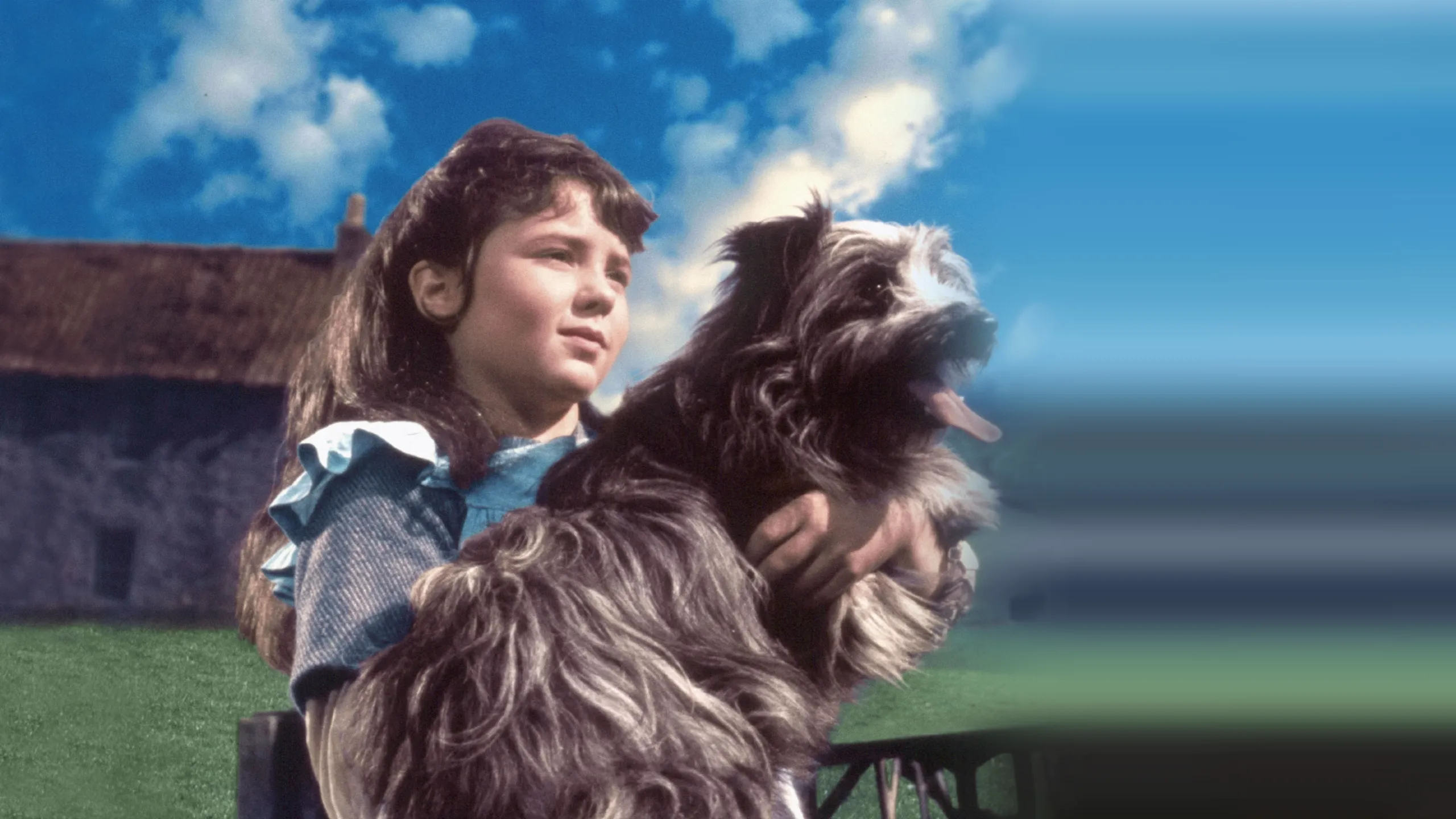 Greyfriars Bobby