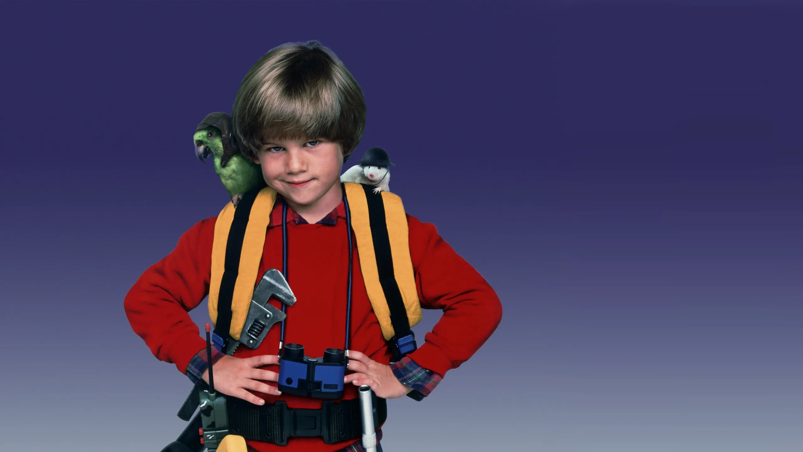Home Alone 3