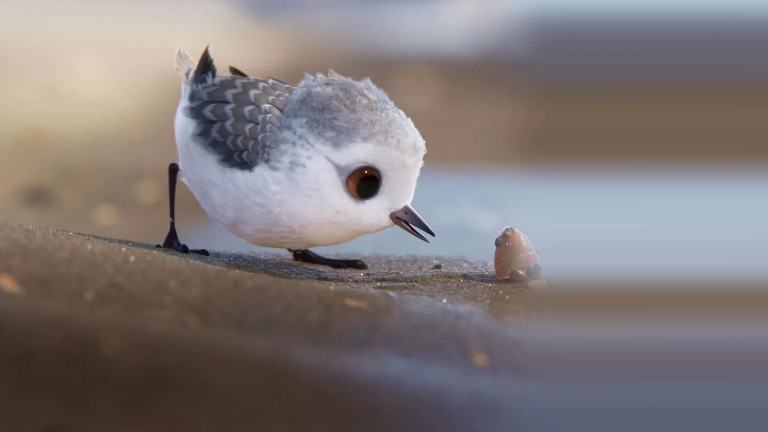 Piper