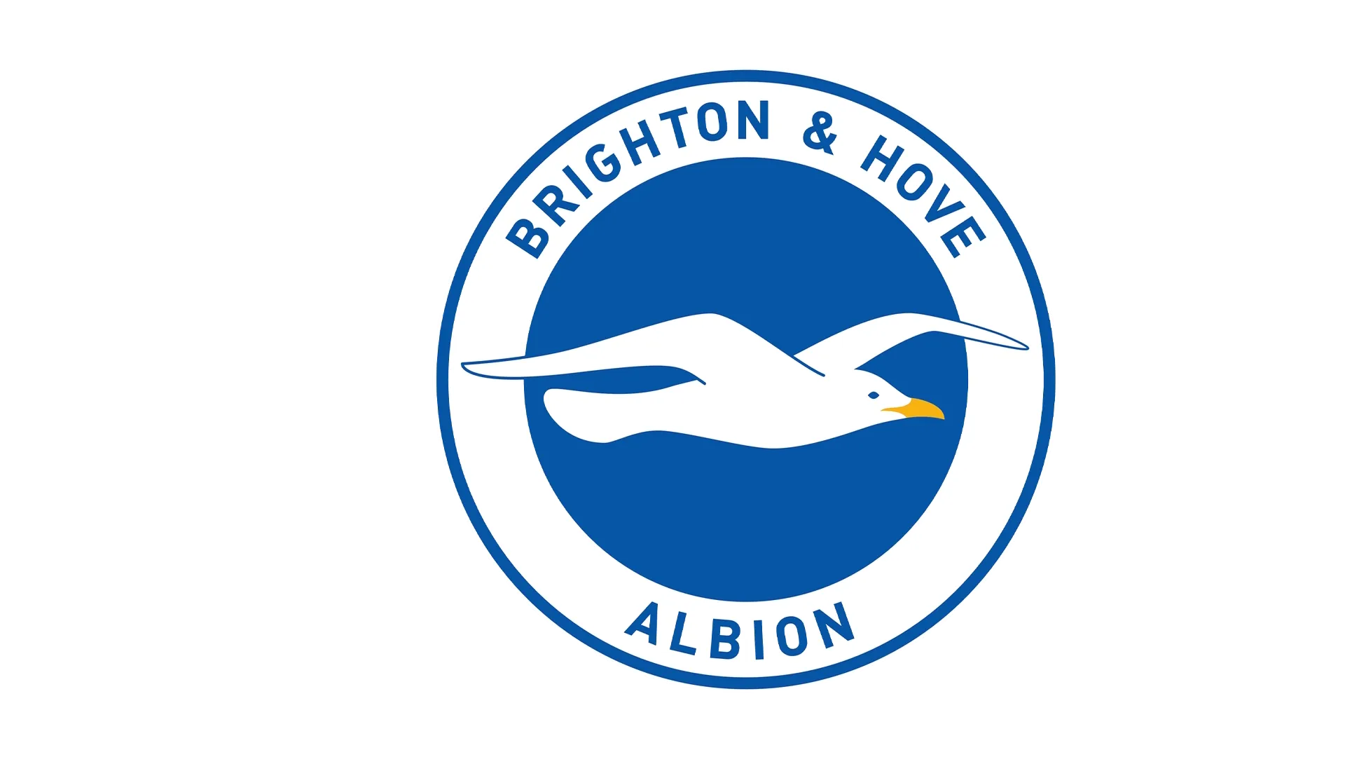 Liverpool vs. Brighton (Semifinal)