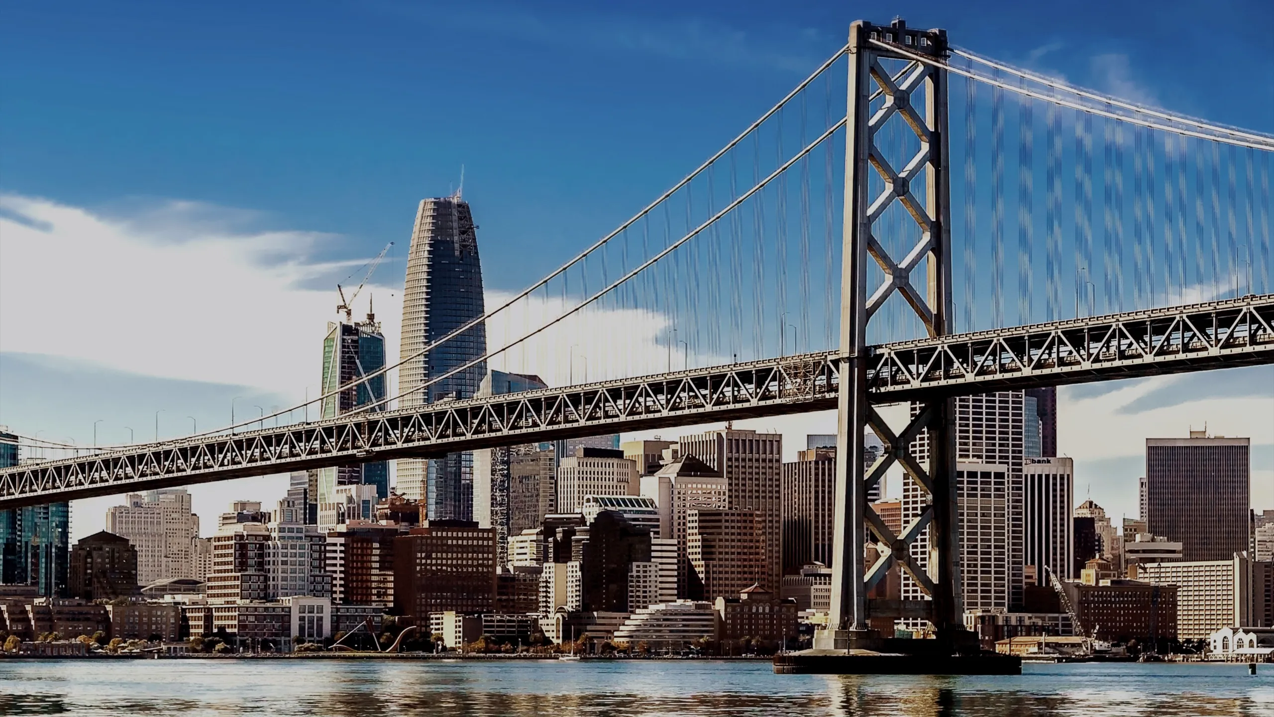 ABC7 San Francisco Streaming News Channel | Watch Full Episodes | Disney+