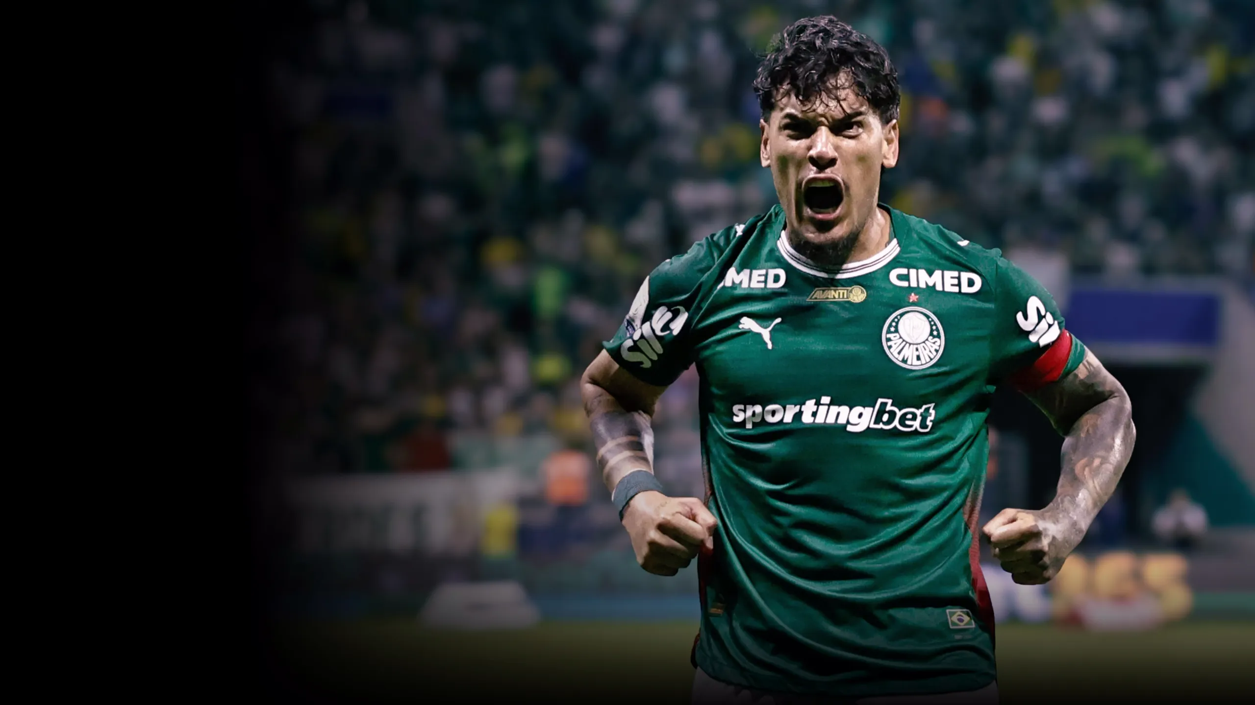 Palmeiras vs. Internacional
