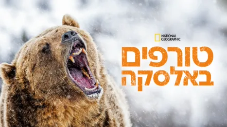 thumbnail - טורפים באלסקה