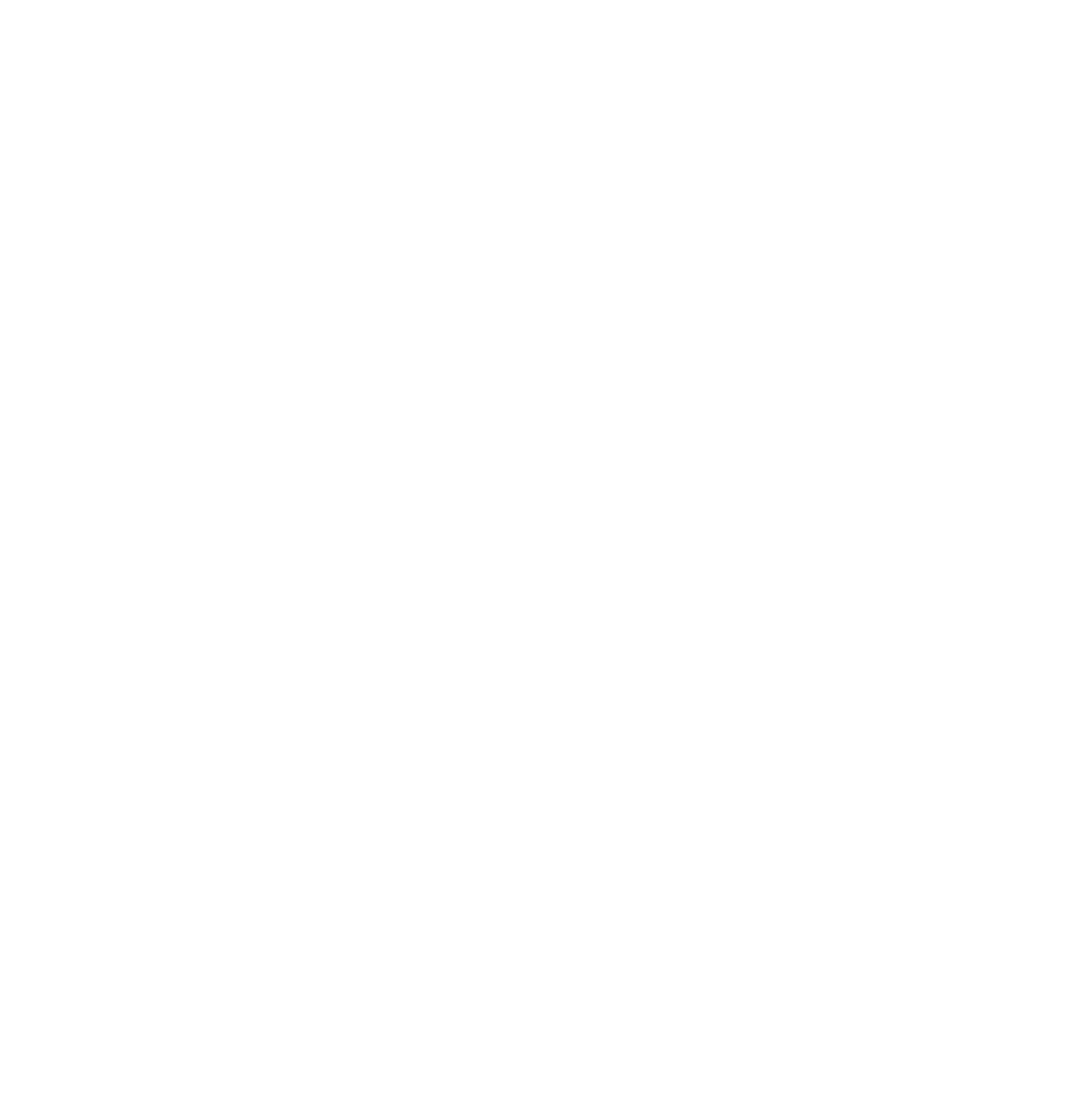 مش وش شغل