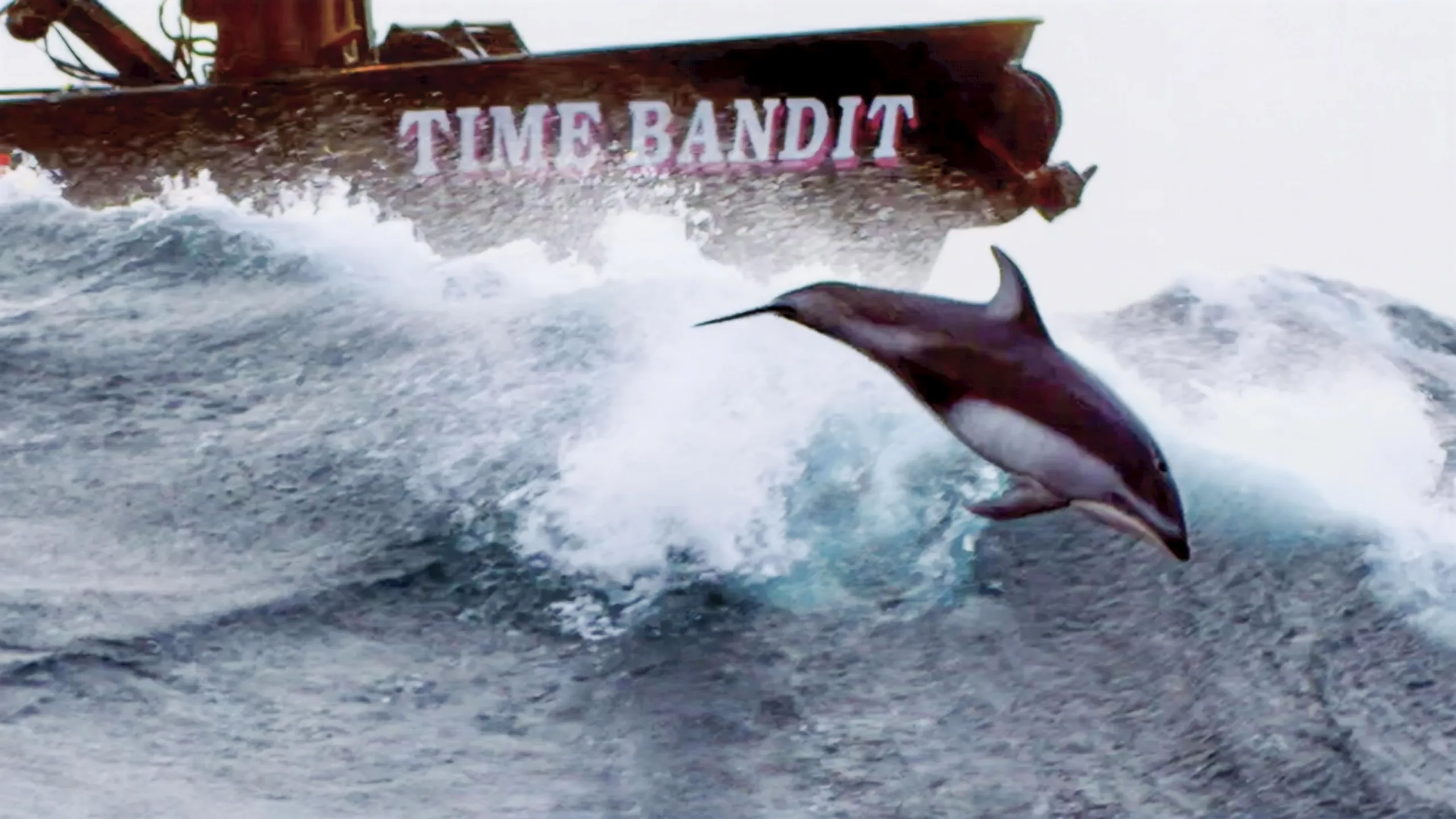 thumbnail - S20:E6 The Purpose of Porpoises