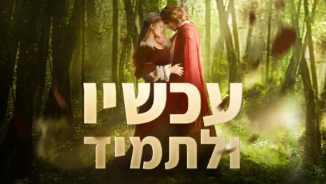 thumbnail - עכשיו ולתמיד: סיפור סינדרלה