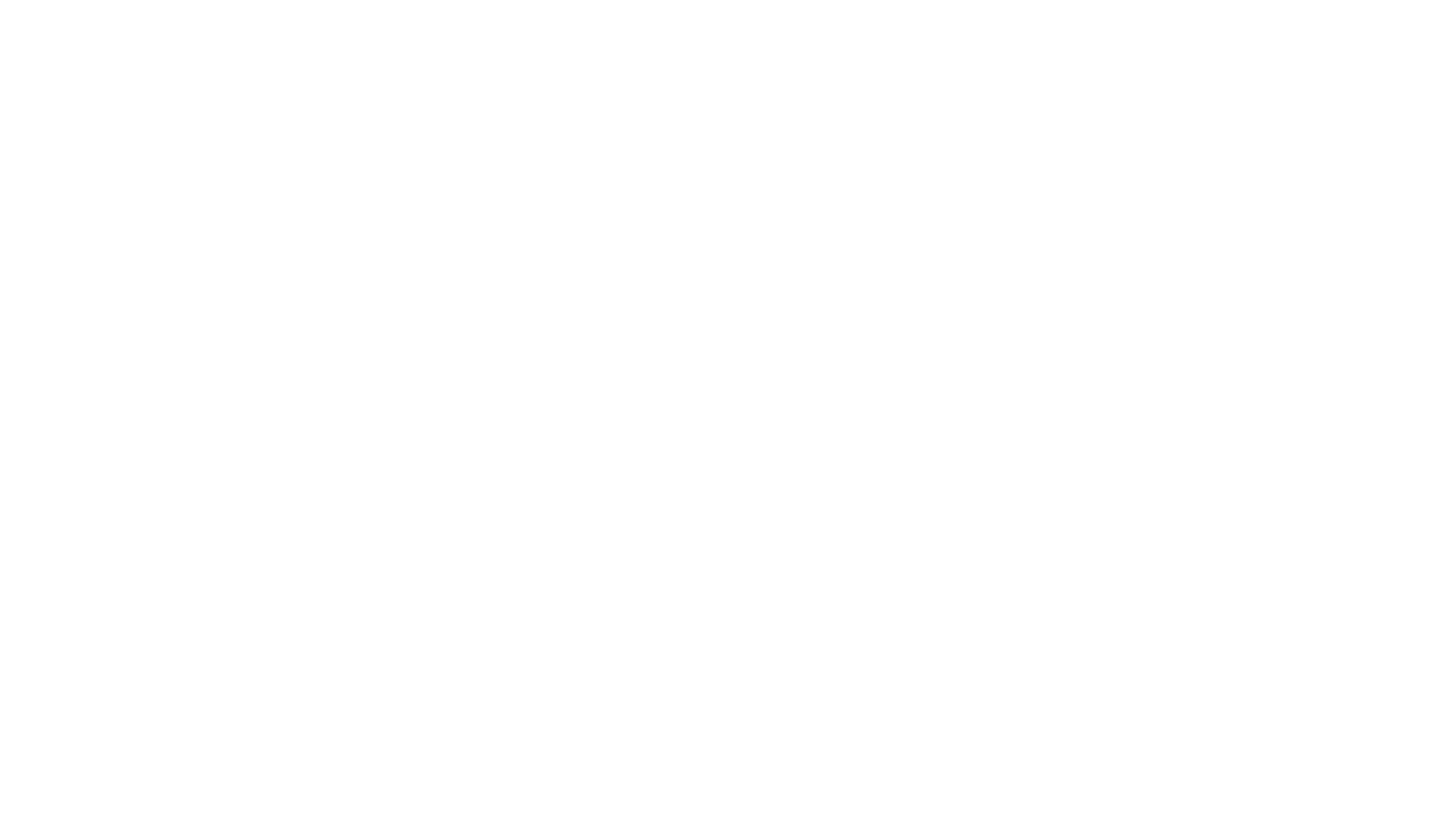 THE GAME