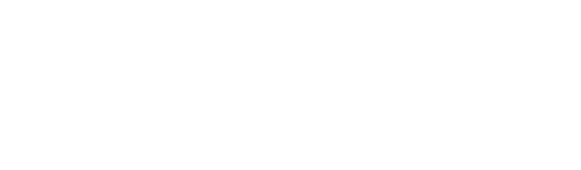 THE GAME