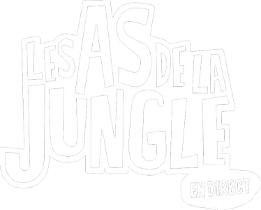 The Jungle Bunch - News Beat