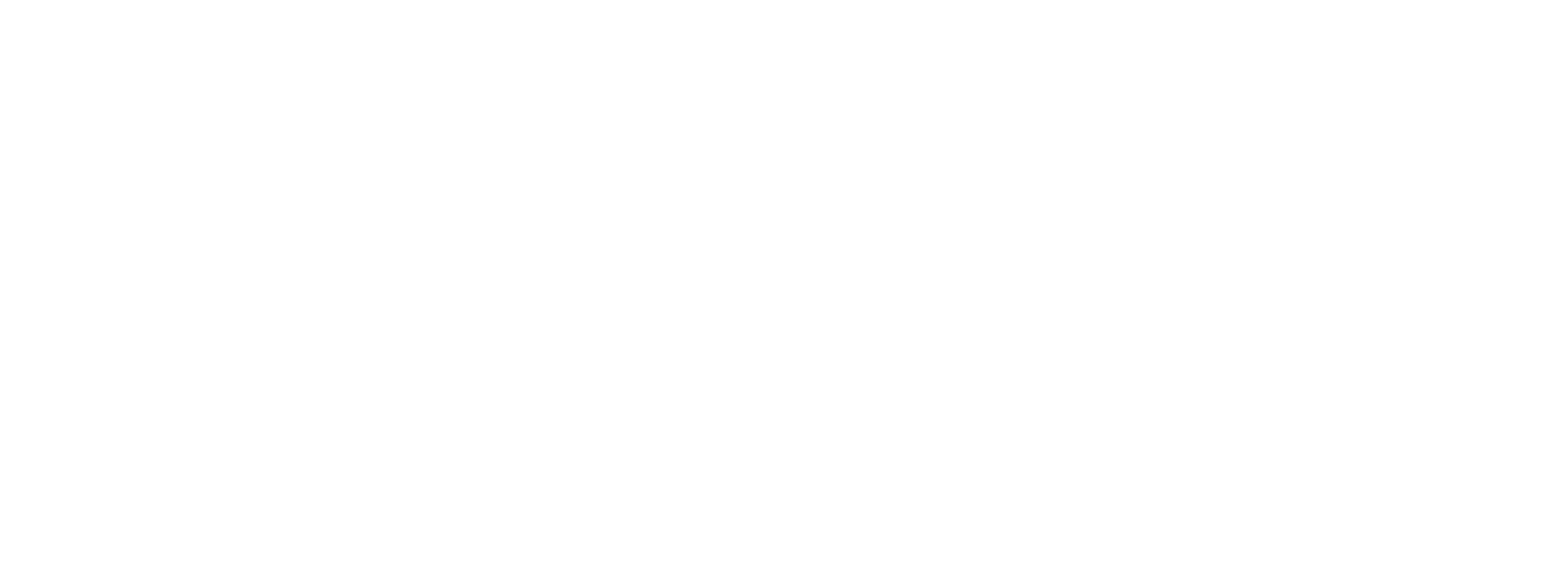 BBQ Brawl