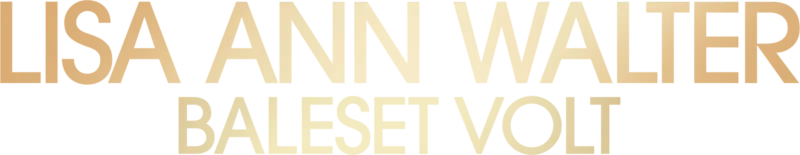 Lisa Ann Walter: Baleset volt