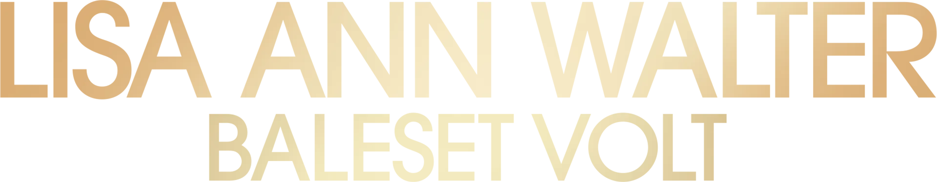 Lisa Ann Walter: Baleset volt