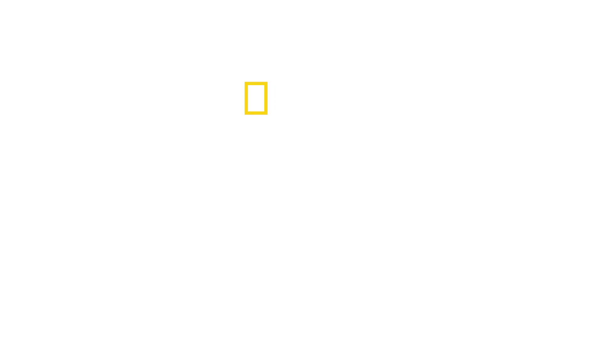 ⁦Deep Dive Australia⁩