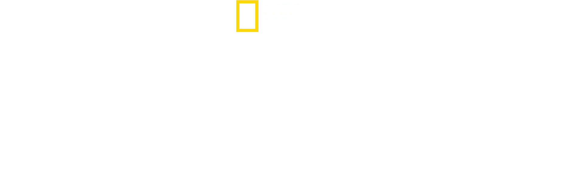 Deep Dive Australia