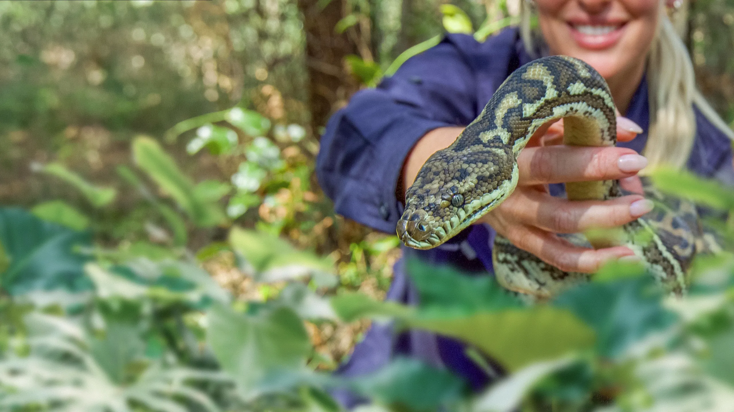 ⁦Aussie Snake Wranglers: Deadly Pursuit⁩
