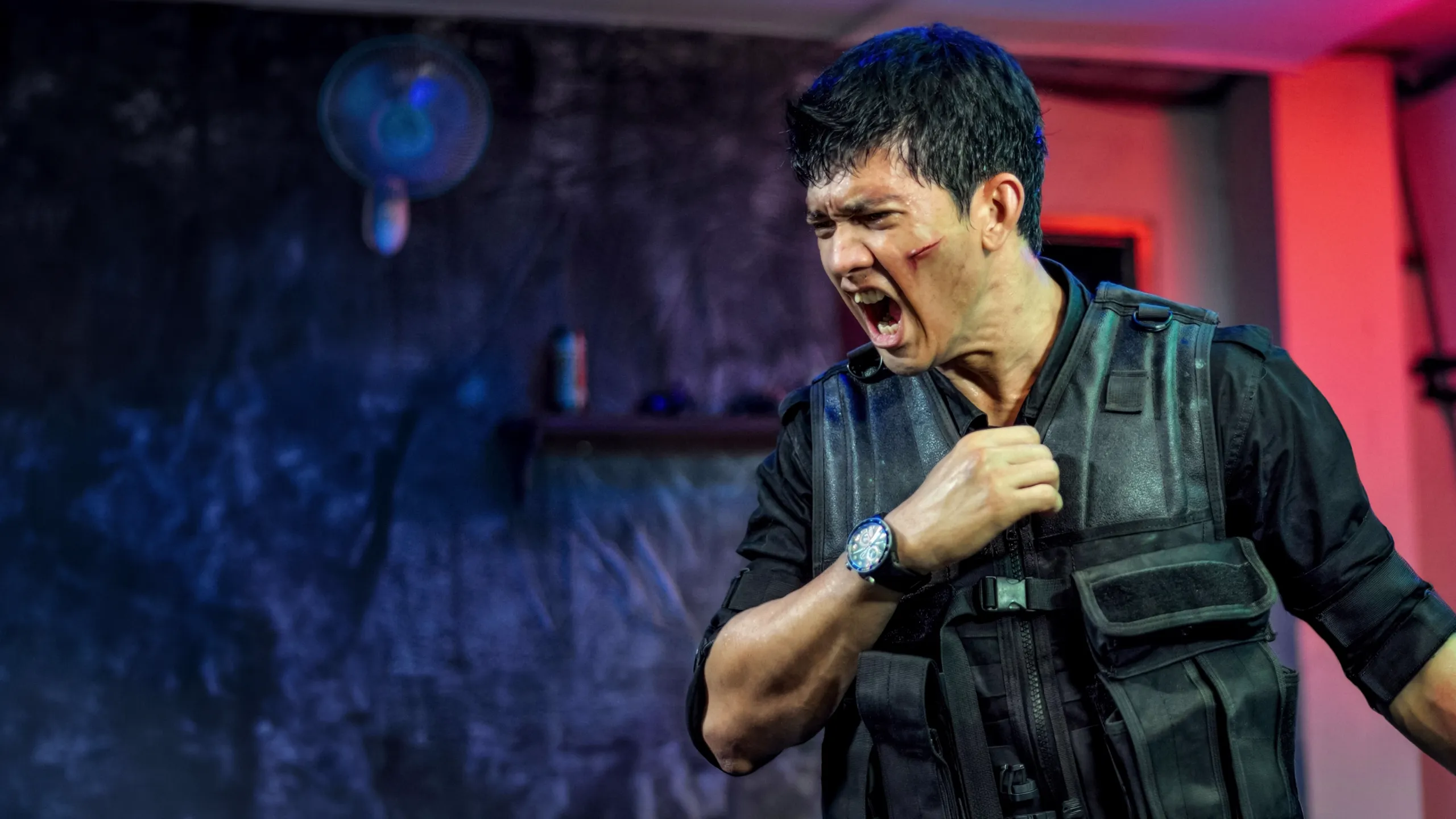 The Raid: Redemption