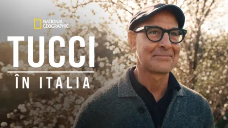 thumbnail - Tucci revine în Italia