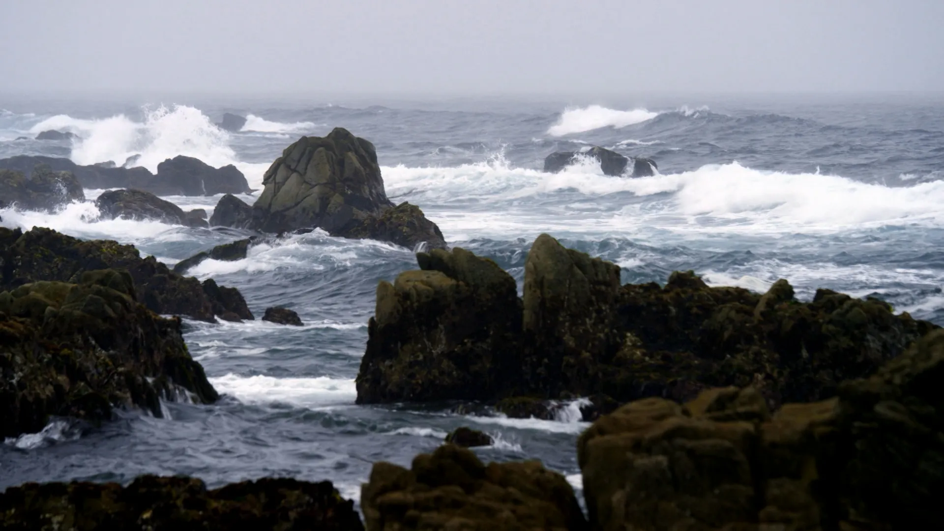 thumbnail - S1:E3 Branwen William: Climate Change in the Arctic