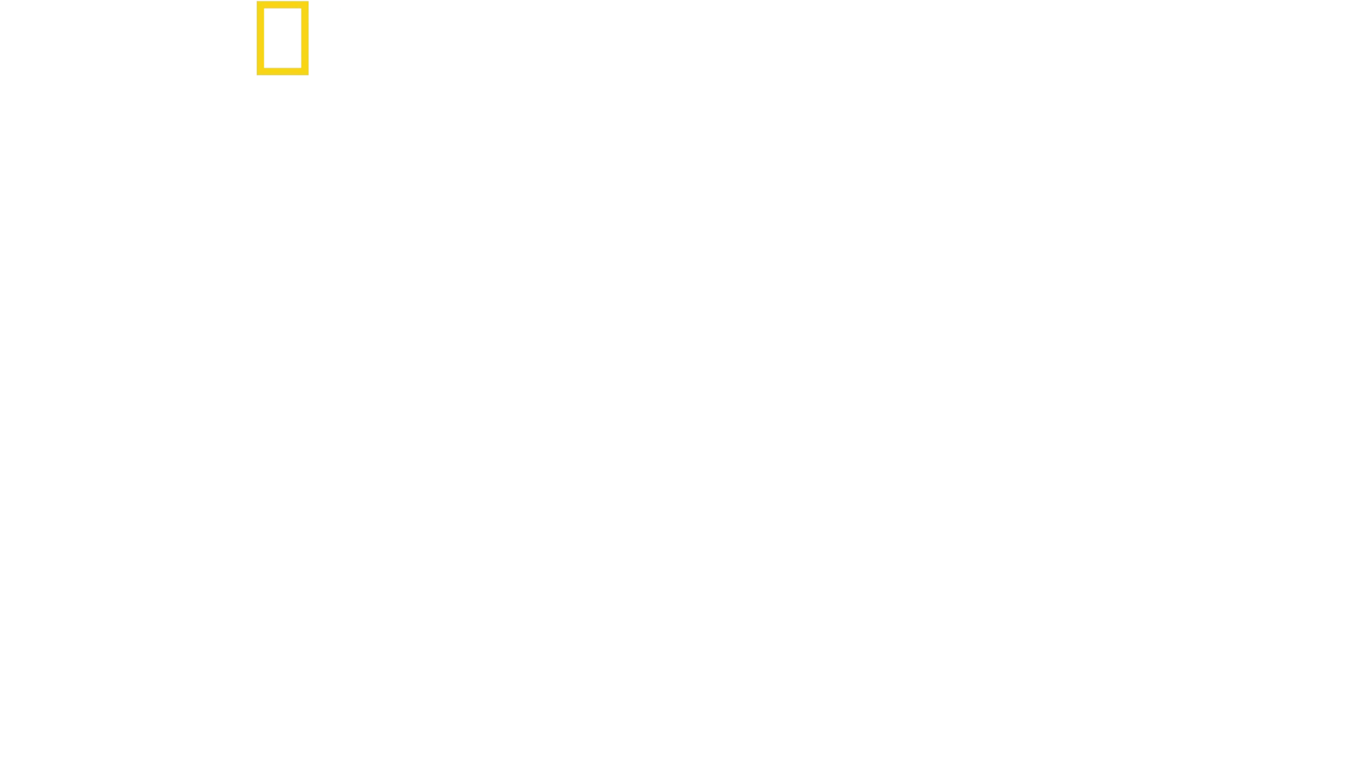 Best of the World with Antoni Porowski