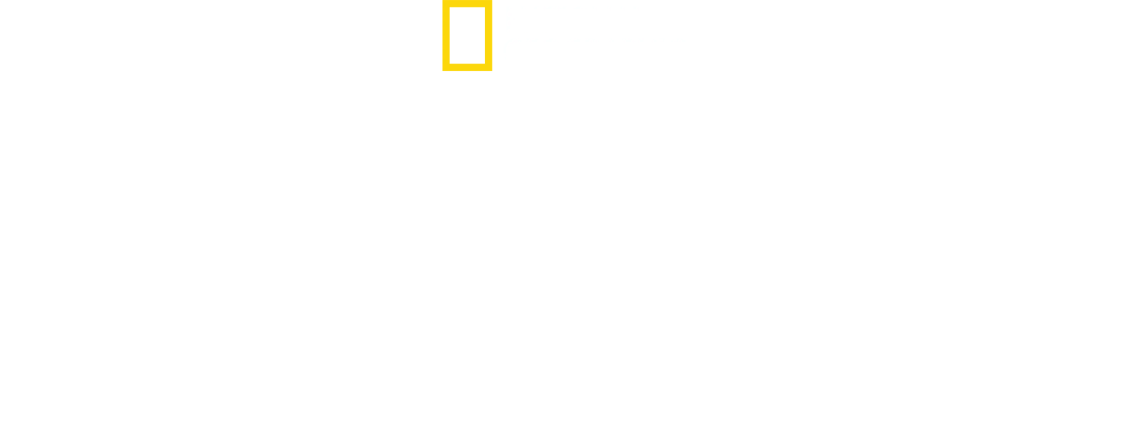 كريتر فيكسرز: أطباء بيطريون في الريف