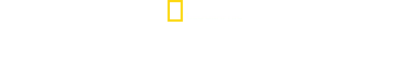 הווטרינרים הכפריים