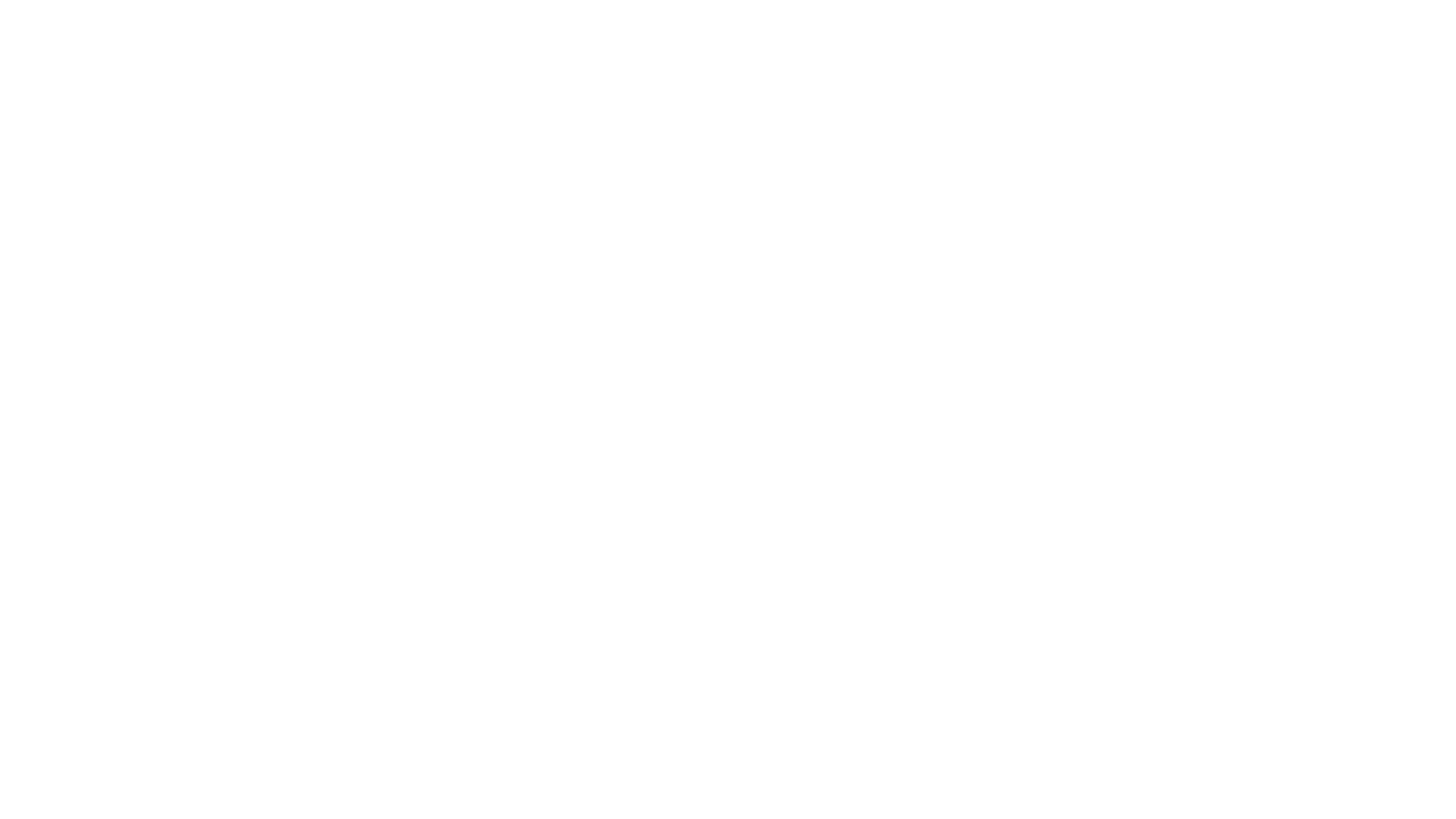 Veľké predstavenie Bluey