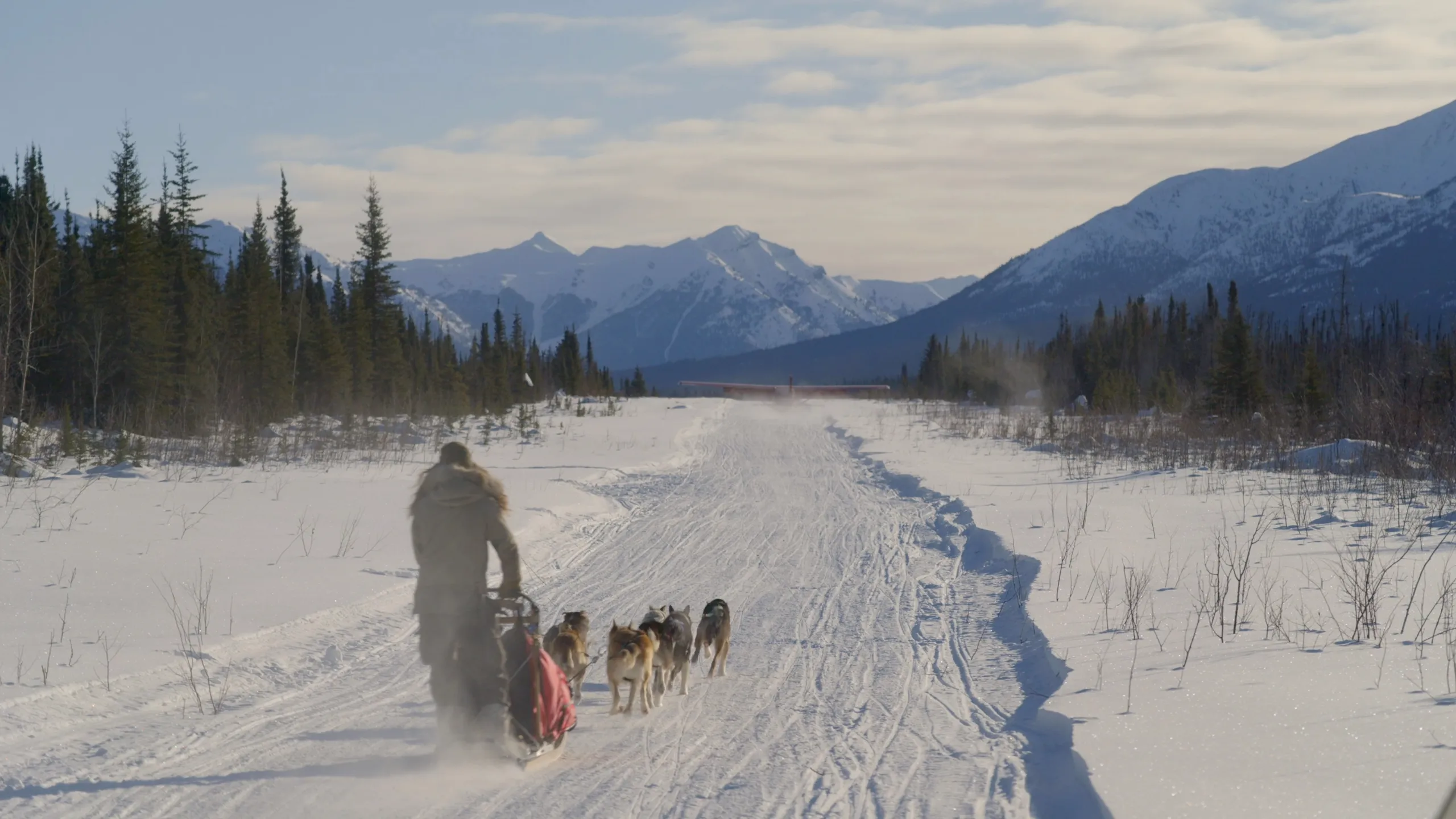 thumbnail - S2:E6 Dog Days of Winter