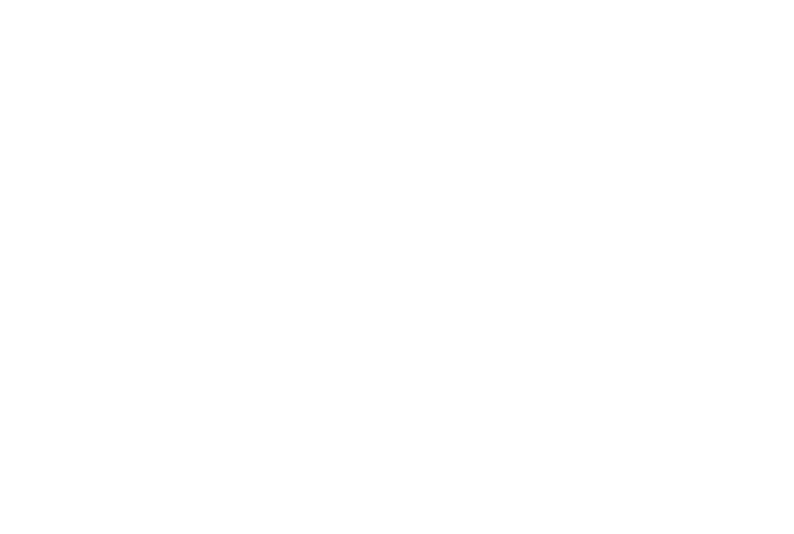 The Idaho Student Murders