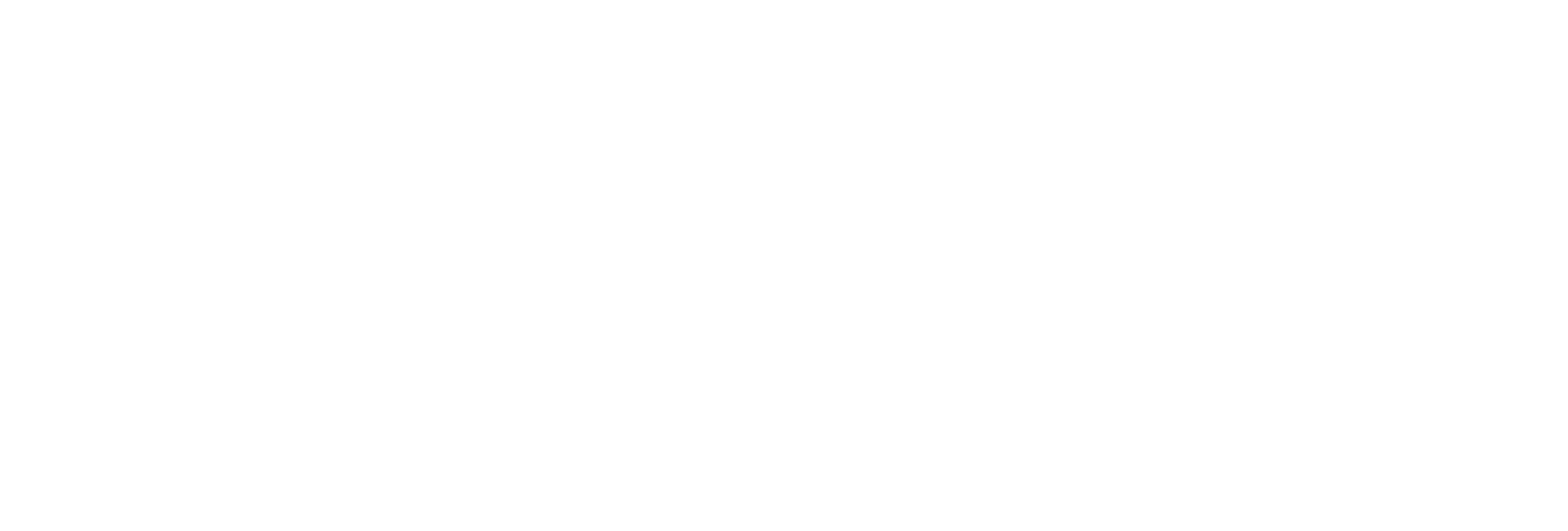 앤 리의 증언