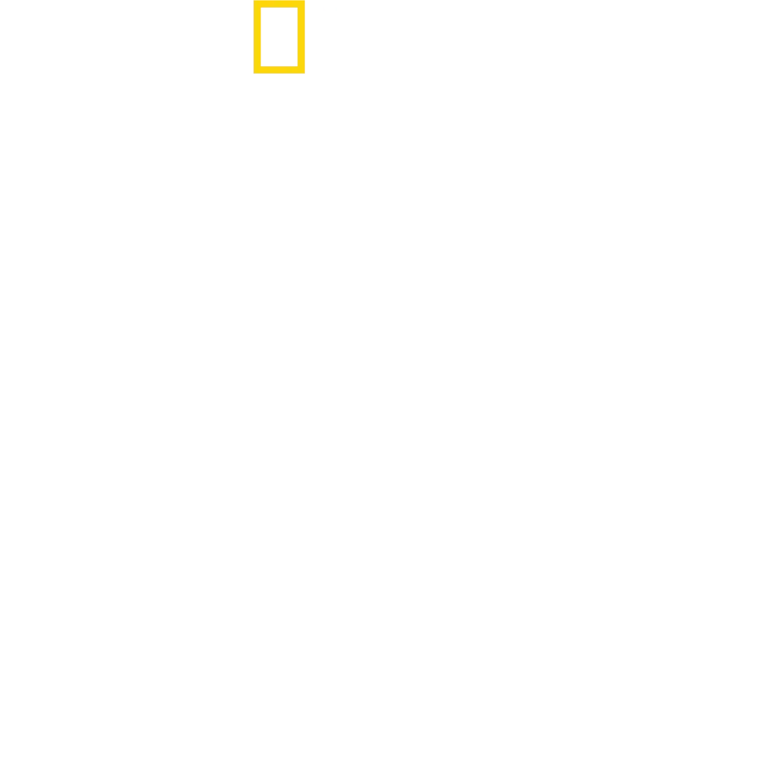 Best of the World mit Antoni Porowski